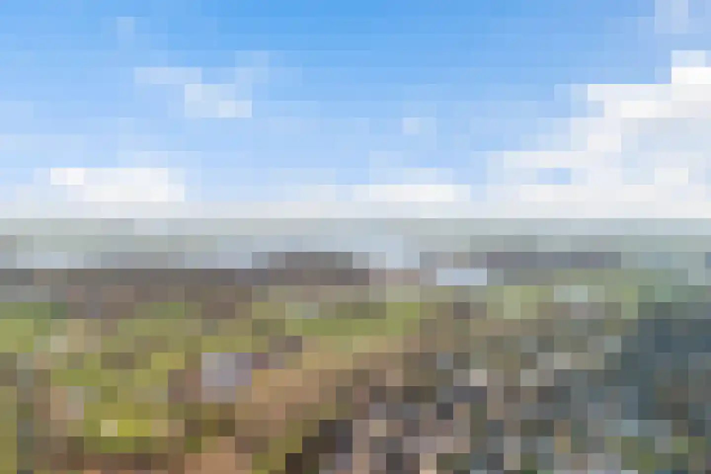 Struikheide 10 Leiden thumbnail 5