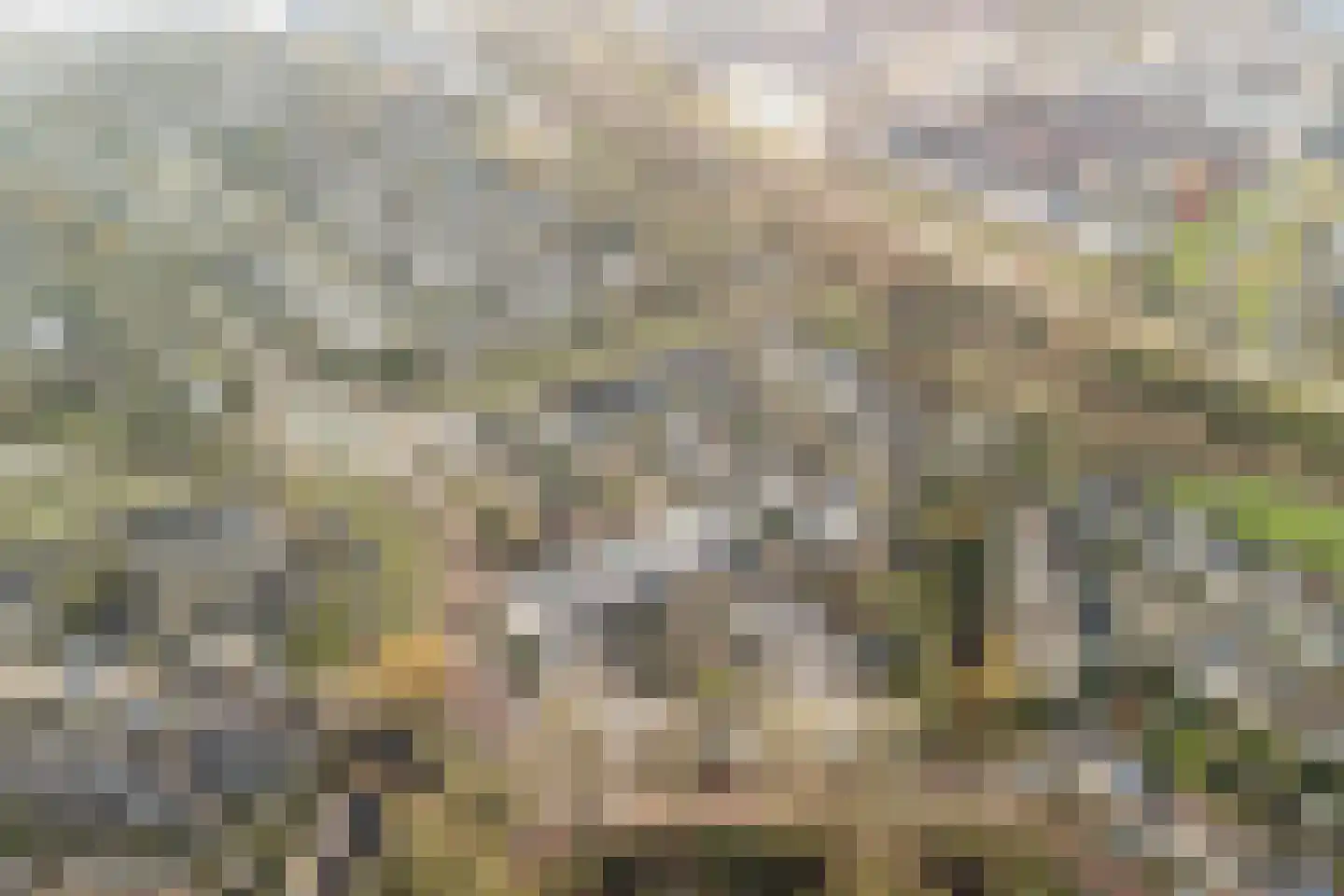 Struikheide 10 Leiden thumbnail 7