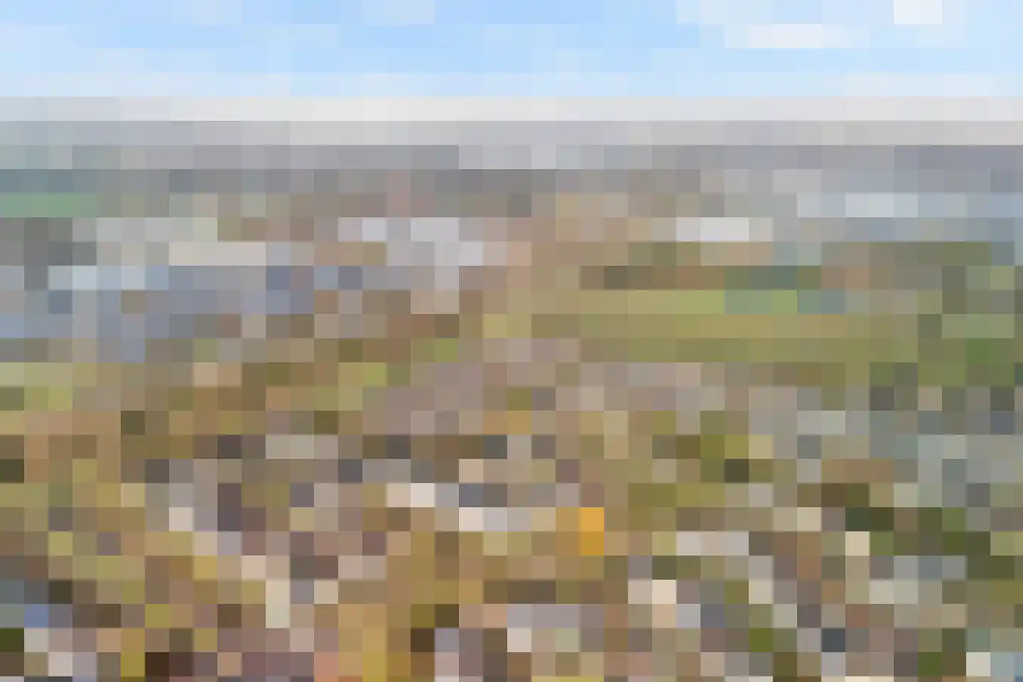 Struikheide 10 Leiden thumbnail 8