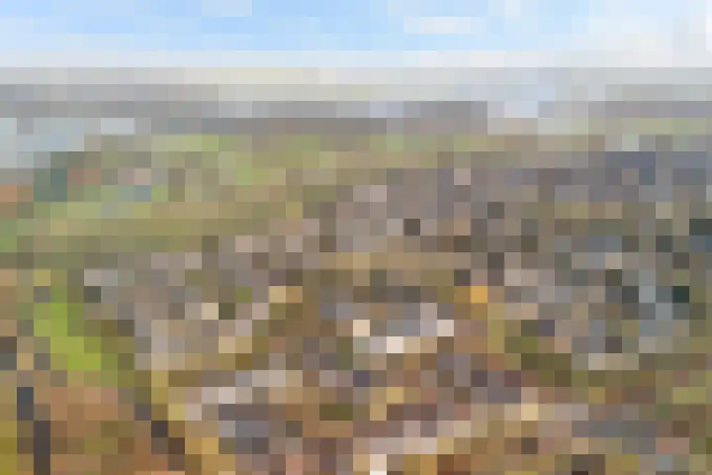 Struikheide 10 Leiden thumbnail 9