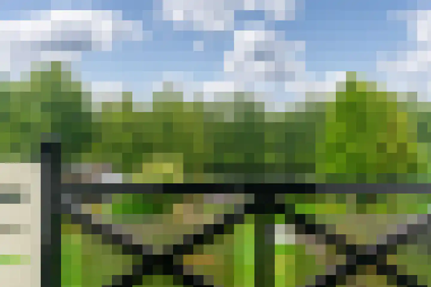 Struikheide 14 Heerenveen thumbnail 35