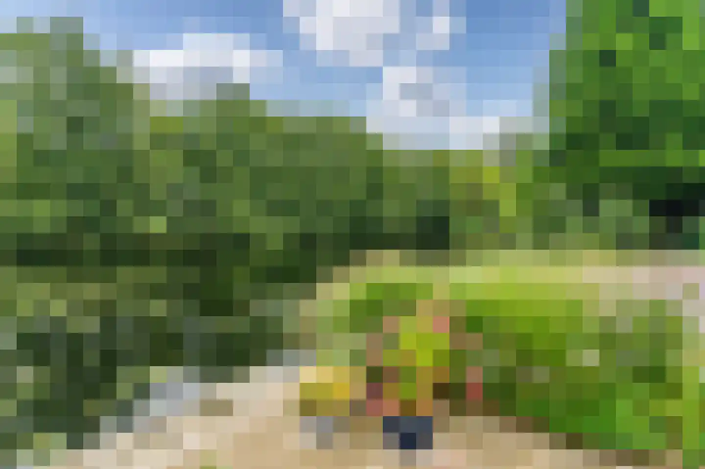 Struikheide 14 Heerenveen thumbnail 55