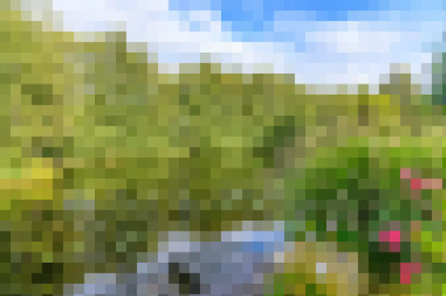 Struikheide 14 Heerenveen thumbnail 56