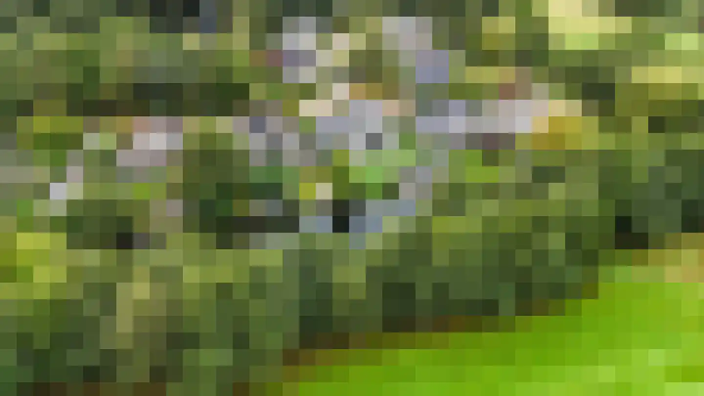 Struikheide 14 Heerenveen thumbnail 68