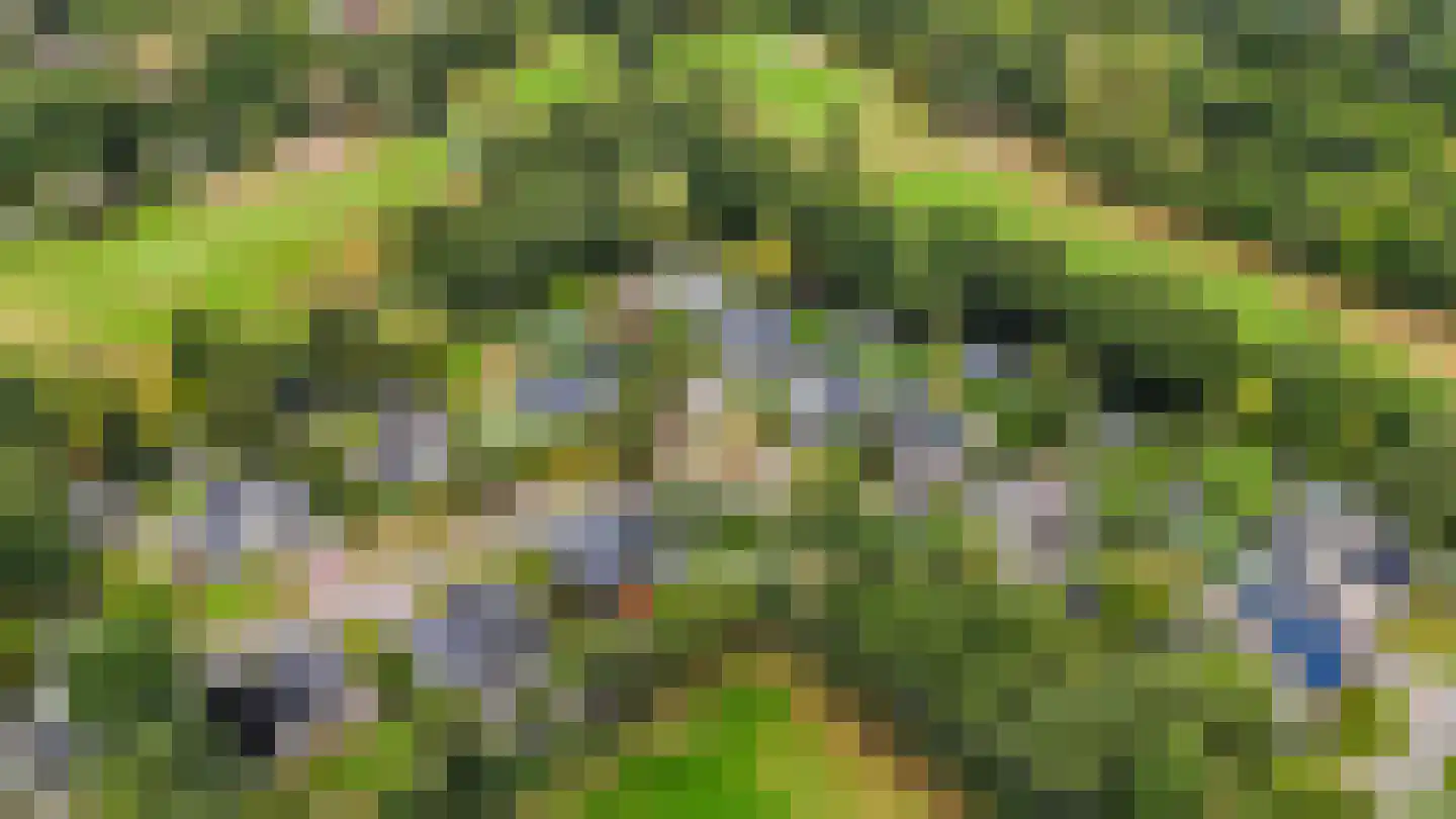 Struikheide 14 Heerenveen thumbnail 69