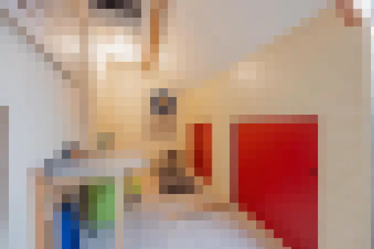 Struikheide 17 Grubbenvorst thumbnail 30