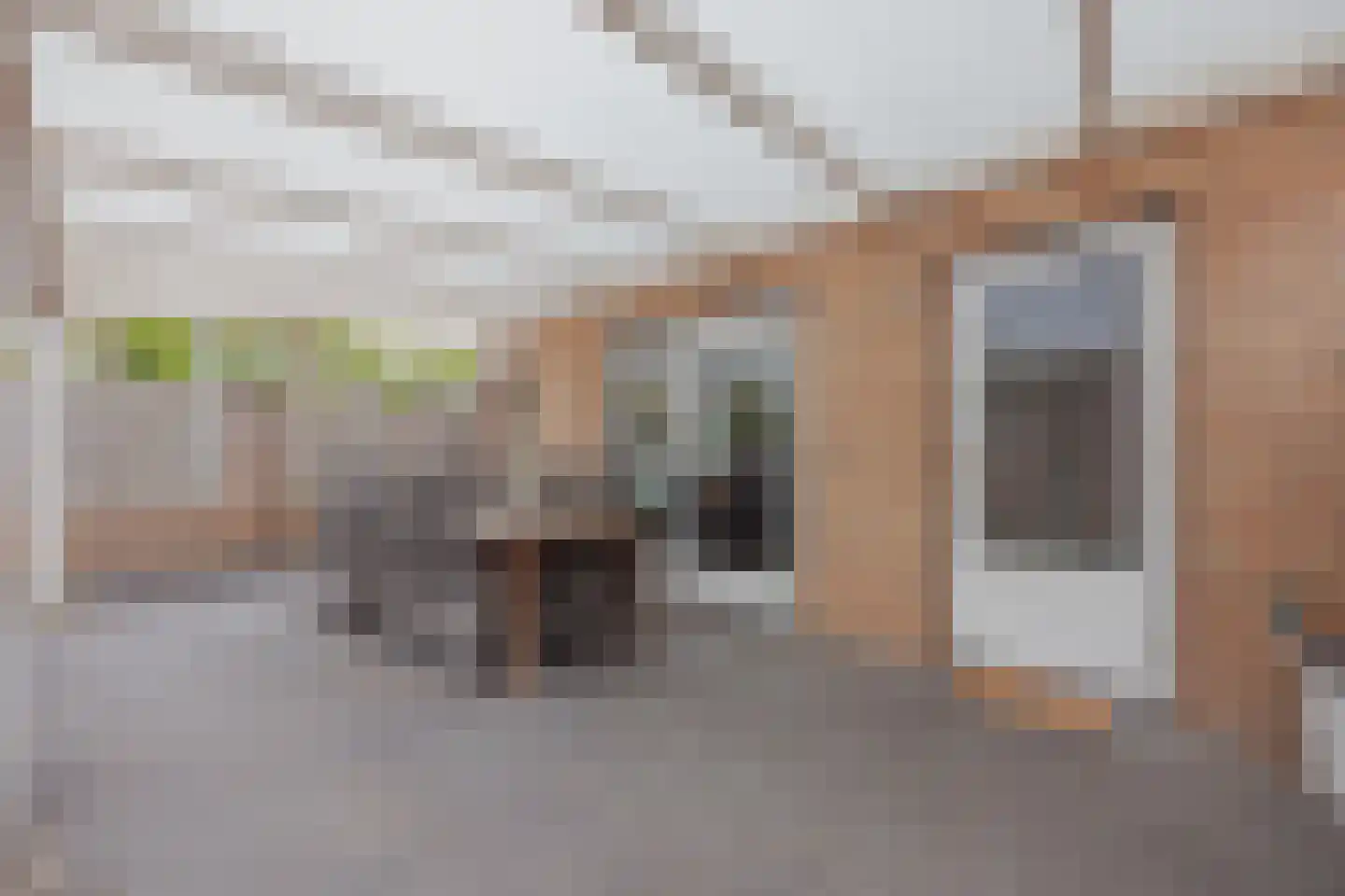 Struikheide 17 Grubbenvorst thumbnail 32