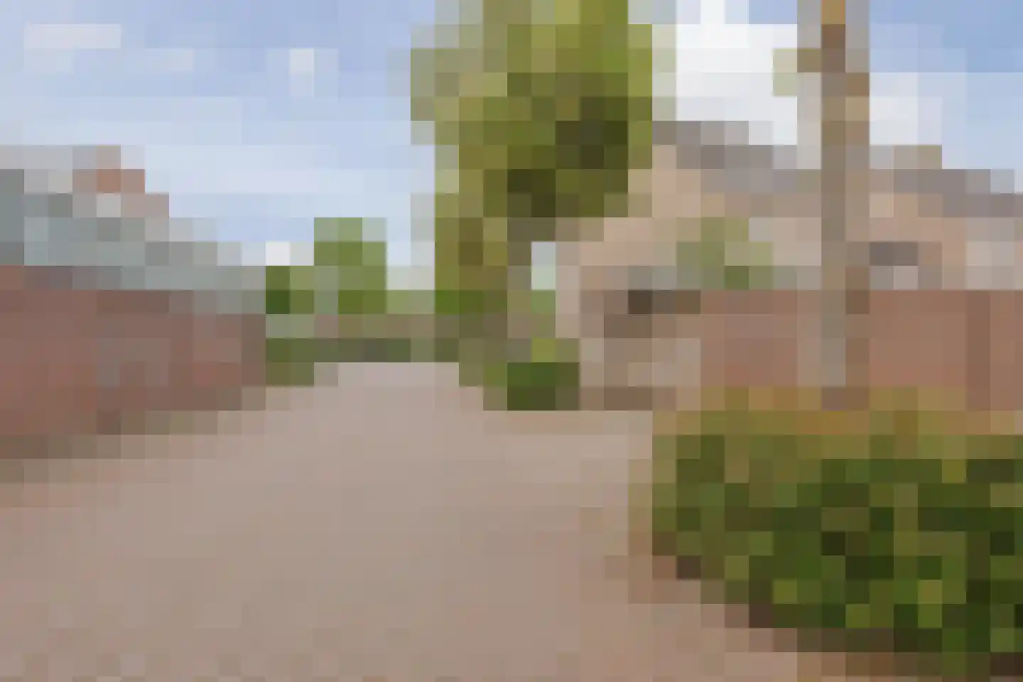 Struikheide 17 Grubbenvorst thumbnail 38