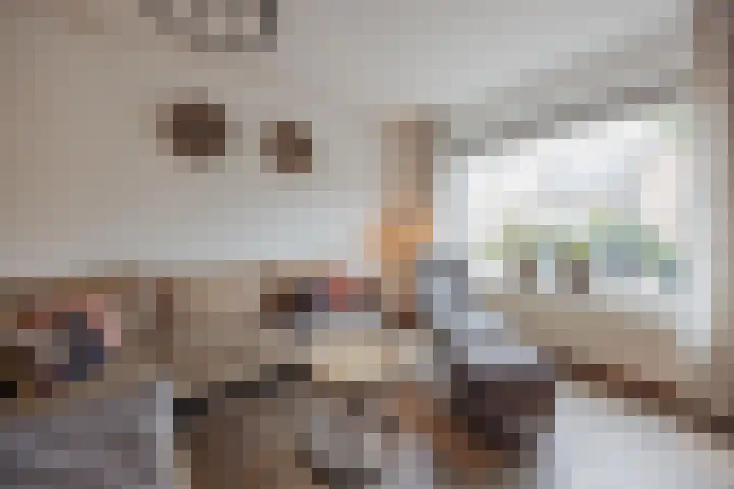 Struikheide 17 Grubbenvorst thumbnail 9