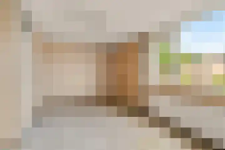 Struikheide 17 Rotterdam thumbnail 18