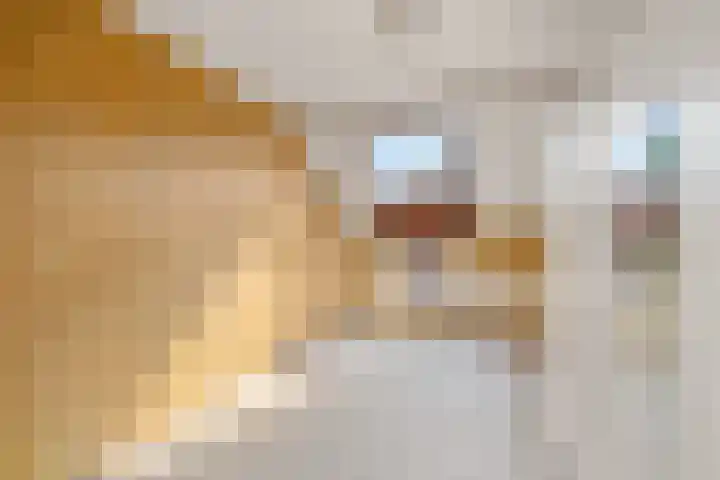 Struikheide 17 Rotterdam thumbnail 19