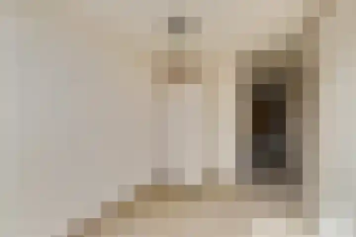 Struikheide 17 Rotterdam thumbnail 22
