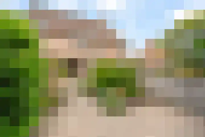 Struikheide 17 Rotterdam thumbnail 31
