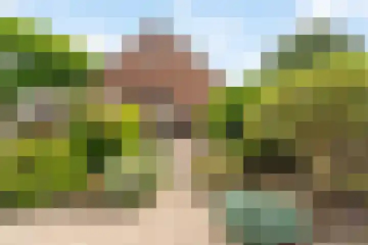 Struikheide 17 Rotterdam thumbnail 32
