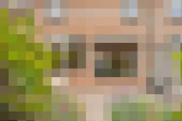 Struikheide 17 Rotterdam thumbnail 33