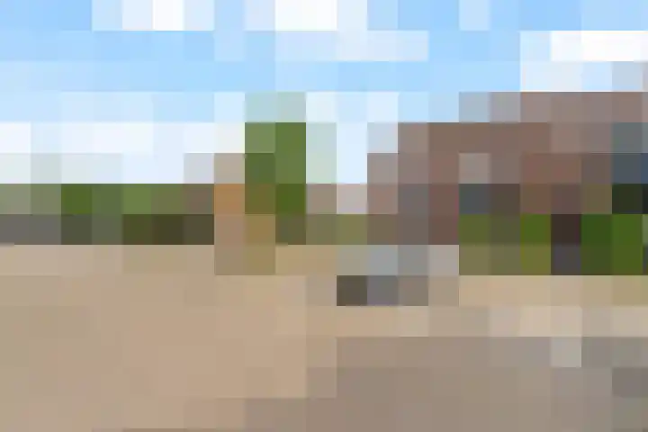 Struikheide 17 Rotterdam thumbnail 34