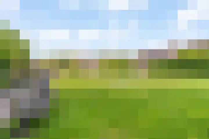 Struikheide 17 Rotterdam thumbnail 35