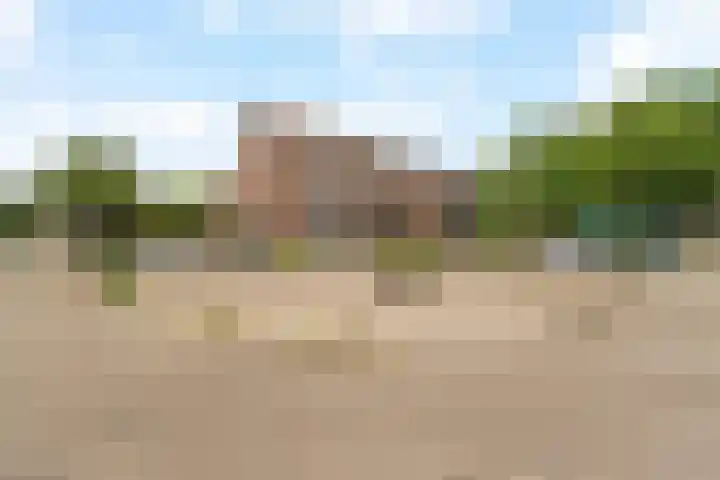 Struikheide 17 Rotterdam thumbnail 5