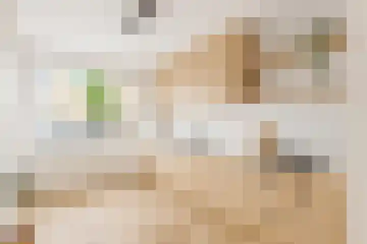 Struikheide 17 Rotterdam thumbnail 8