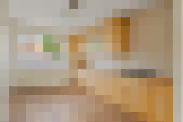 Struikheide 17 Rotterdam thumbnail 9