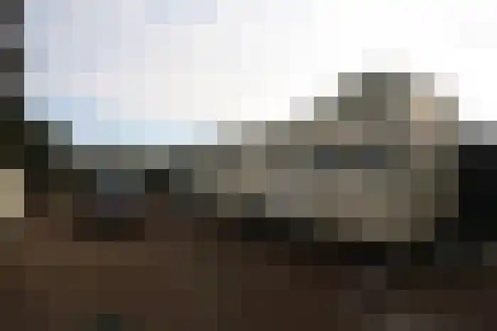 Struikheide 25 Bergen op Zoom thumbnail 8