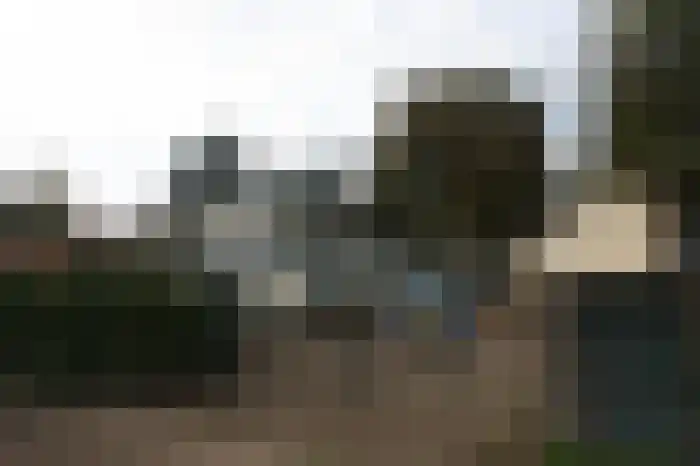 Struikheide 25 Bergen op Zoom thumbnail 9