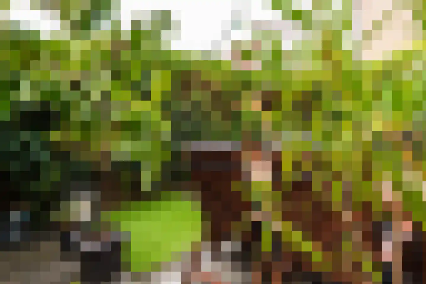 Struikheide 34 Rotterdam thumbnail 16