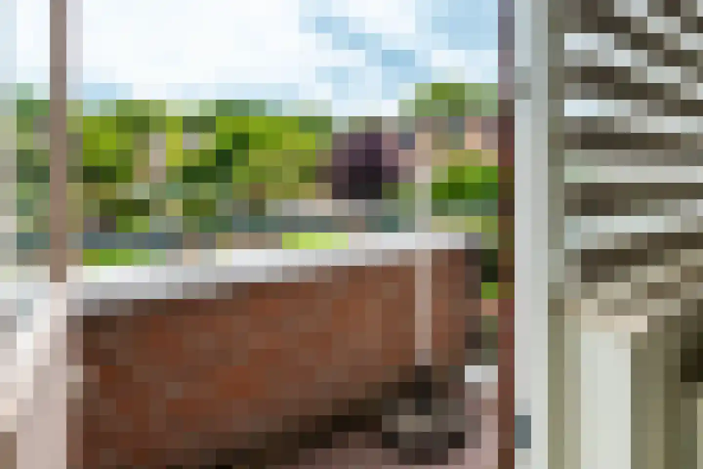 Struikheide 34 Rotterdam thumbnail 21