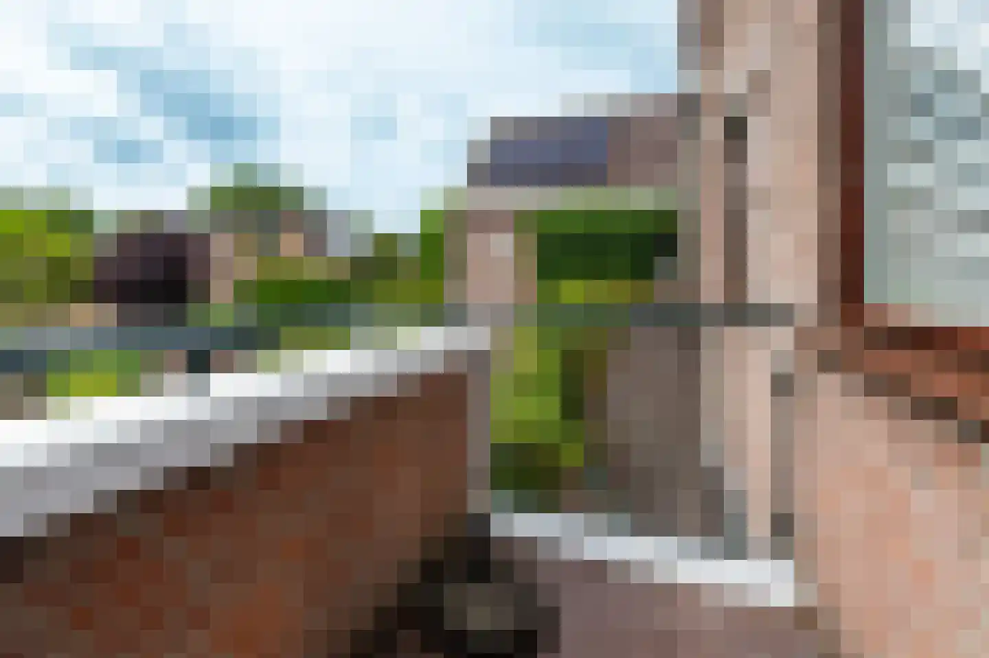 Struikheide 34 Rotterdam thumbnail 22
