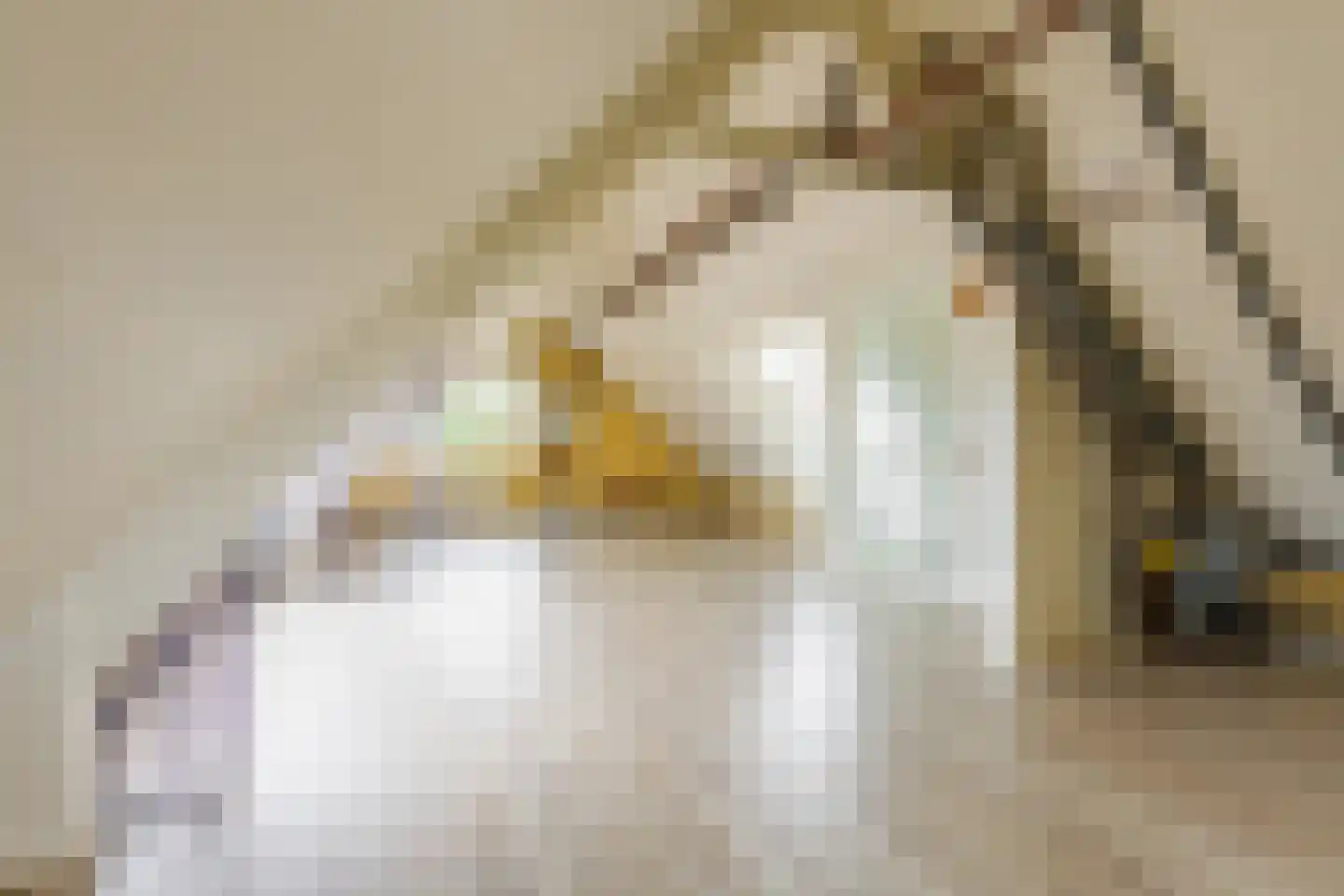 Struikheide 34 Rotterdam thumbnail 44