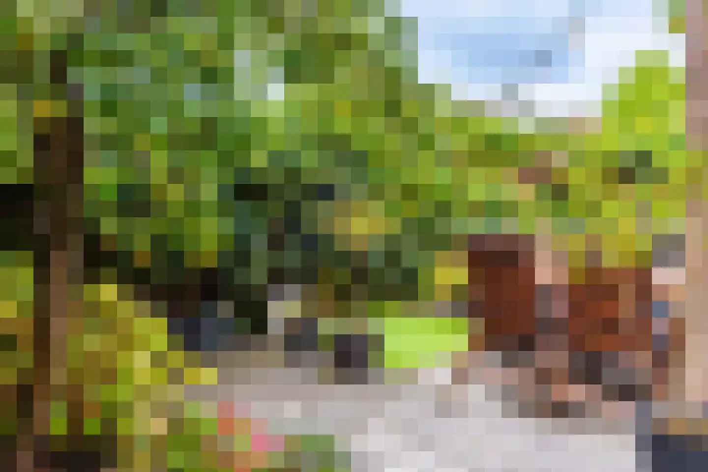 Struikheide 34 Rotterdam thumbnail 50