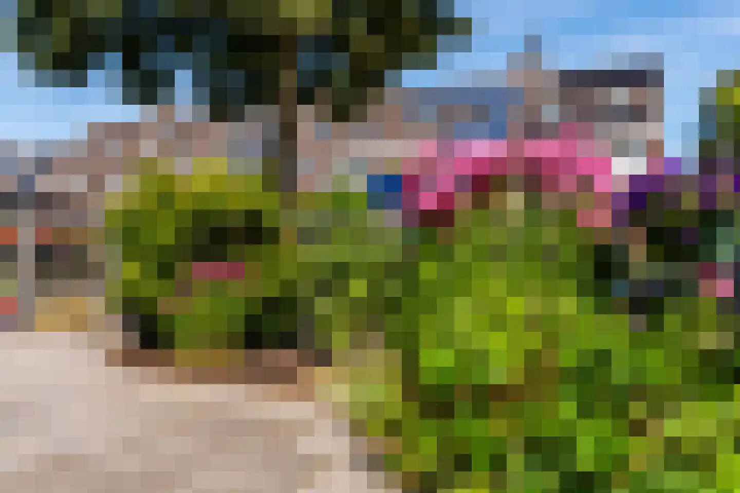 Struikheide 34 Rotterdam thumbnail 68