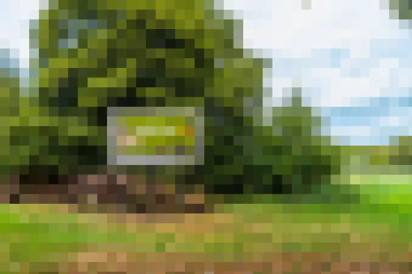 Struikheide 34 Rotterdam thumbnail 69