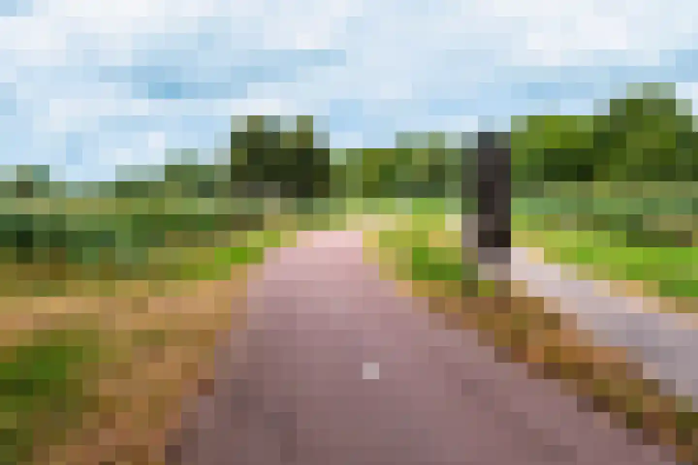 Struikheide 34 Rotterdam thumbnail 70