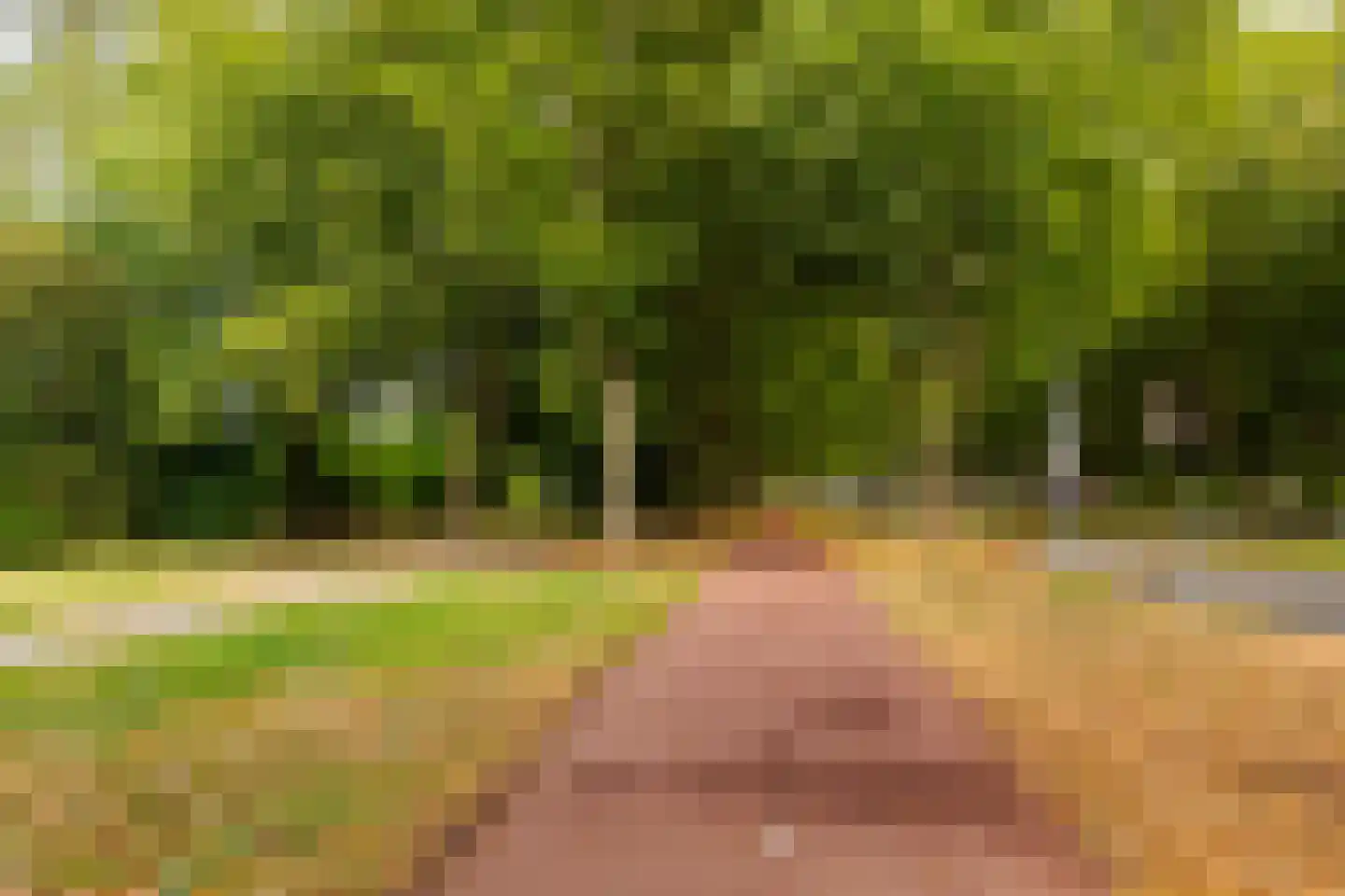 Struikheide 34 Rotterdam thumbnail 71