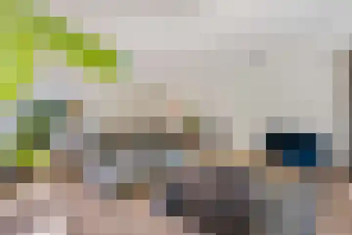 Struikheidelaan 16 Hilversum thumbnail 11