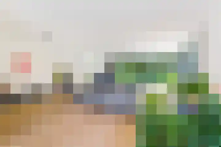 Struikheidelaan 16 Hilversum thumbnail 15