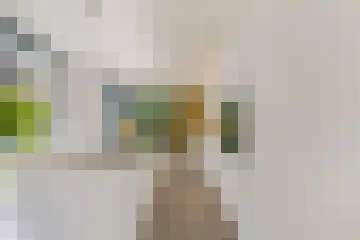 Struikheidelaan 16 Hilversum thumbnail 17