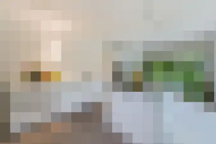 Struikheidelaan 16 Hilversum thumbnail 18