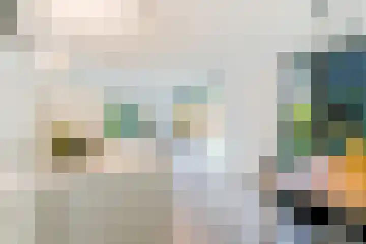 Struikheidelaan 16 Hilversum thumbnail 19