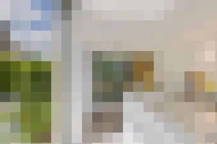 Struikheidelaan 16 Hilversum thumbnail 23