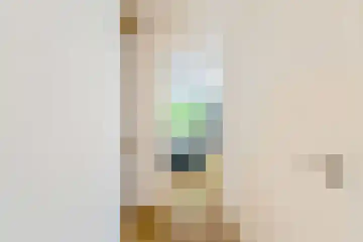 Struikheidelaan 16 Hilversum thumbnail 25