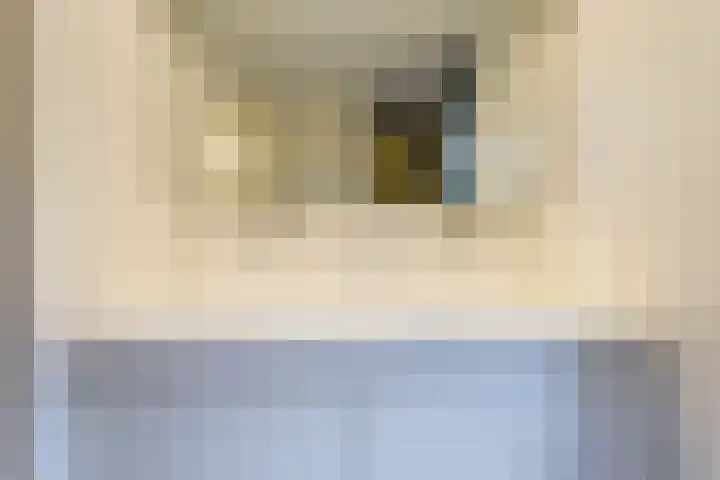 Struikheidelaan 16 Hilversum thumbnail 29