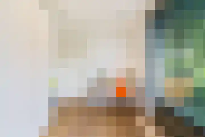 Struikheidelaan 16 Hilversum thumbnail 38