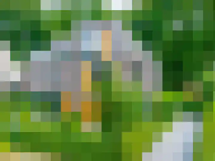 Struikheidelaan 16 Hilversum thumbnail 4
