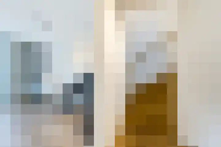 Struikheidelaan 16 Hilversum thumbnail 40