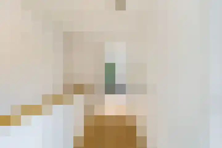 Struikheidelaan 16 Hilversum thumbnail 41
