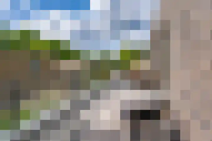 Struikheidelaan 16 Hilversum thumbnail 49