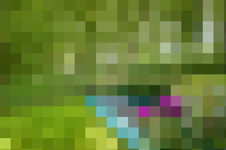Struikheidelaan 16 Hilversum thumbnail 52