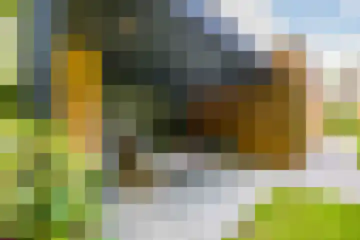 Struikheidelaan 16 Hilversum thumbnail 53